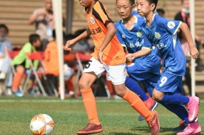 开元线上登入 -击剑淘汰赛上演强强对话，胶东霹雳队强势横扫北城天虎队，多点开花奏效；年轻人站出来了的简单介绍