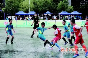  云南黑豹军事夏令营 