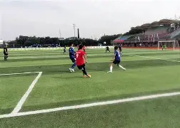  云南黑豹军事夏令营 